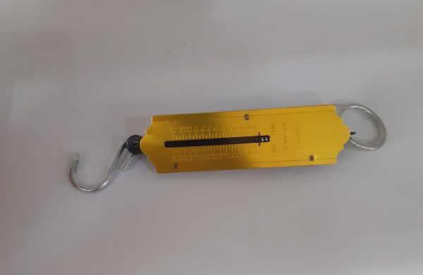 Portable Scale